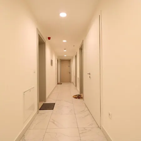 Waterfront Shine * 贝尔格莱德